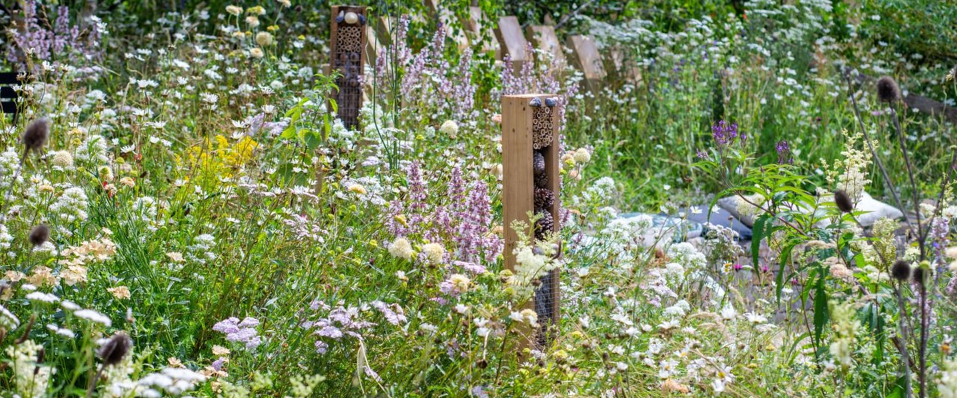 Creating a Wildlife-Friendly Garden: Tips for Sustainable Landscaping