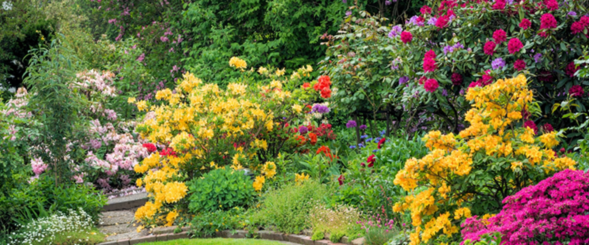 Creating a Beautiful Garden on a Budget: Tips and Tricks