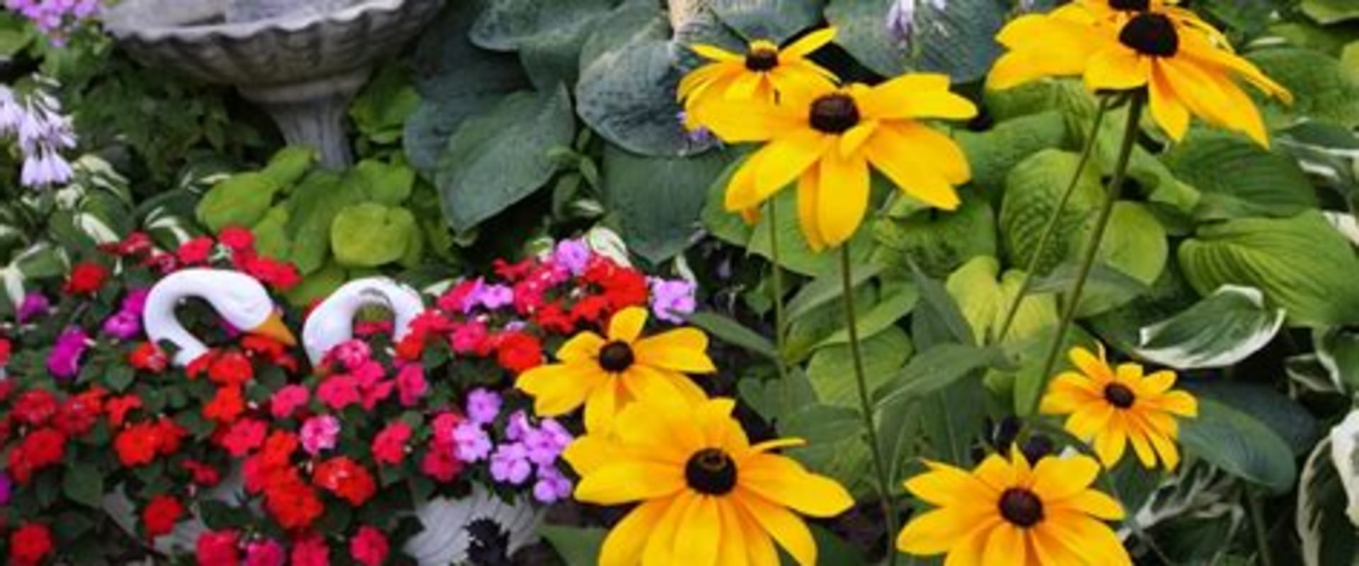 Incorporating Seasonal Plants into Your Landscape Design