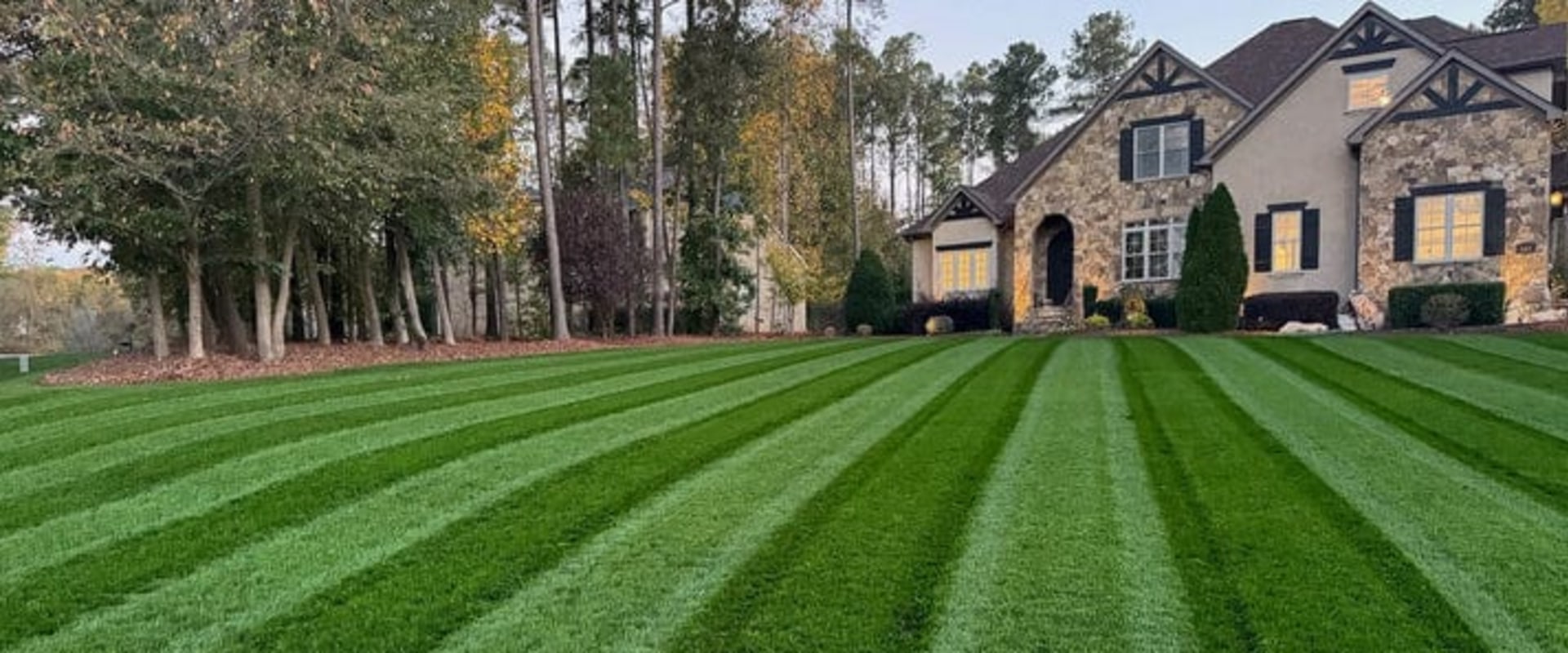 Essential Tips for Selecting the Perfect Grass for Your Lawn