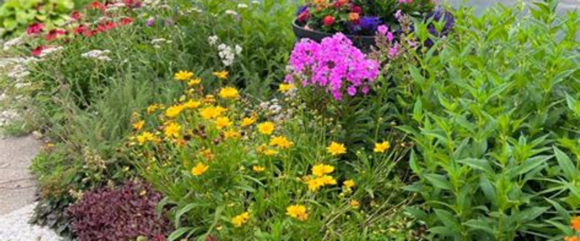 Vibrant Year-Round: Creative Ways to Infuse Colour into Your Garden