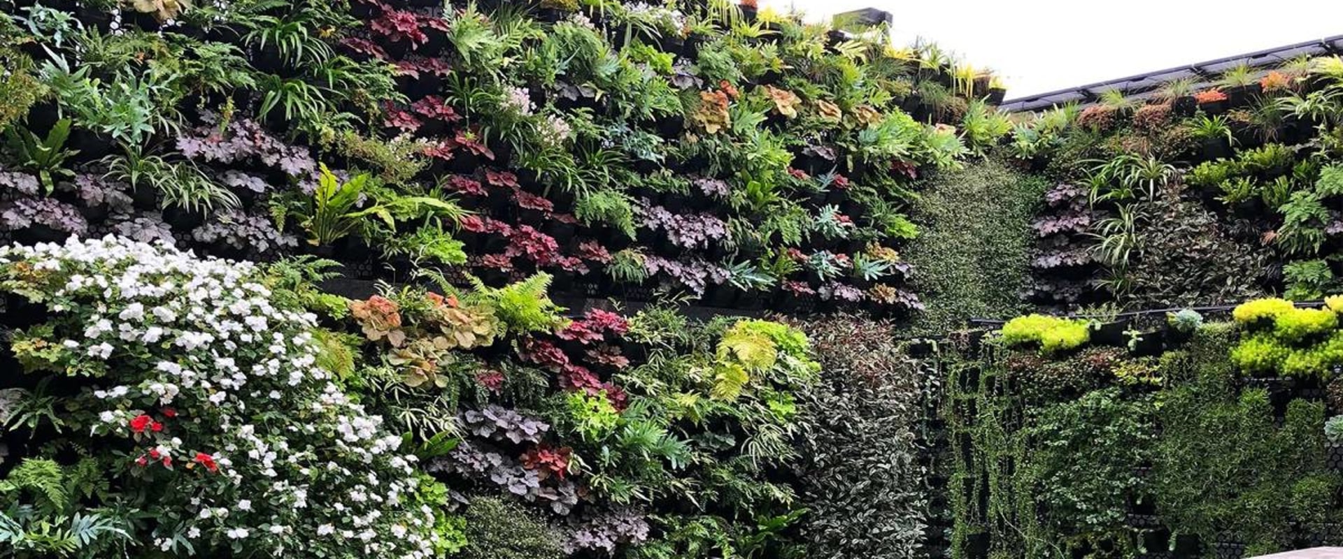 Incorporating Vertical Gardening into Your Landscape Design