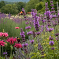 Attracting Pollinators to Your Garden: A Complete Guide for Garden and Landscaping Enthusiasts