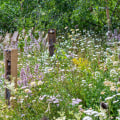 Creating a Wildlife-Friendly Garden: Tips for Sustainable Landscaping