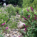 Incorporating Native Plants into Your Garden and Landscape Design