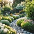 Creating a Beautiful Low-Maintenance Garden: Tips and Techniques