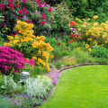 Creating a Beautiful Garden on a Budget: Tips and Tricks