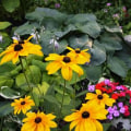 Incorporating Seasonal Plants into Your Landscape Design
