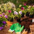 The Ideal Seasons for Planting Your Garden: A Seasonal Guide