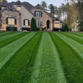 Essential Tips for Selecting the Perfect Grass for Your Lawn