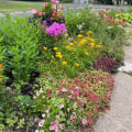 Vibrant Year-Round: Creative Ways to Infuse Colour into Your Garden