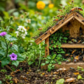 Creating a Garden That Attracts Beneficial Insects for a Thriving Ecosystem