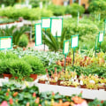 Essential Tips for Selecting the Right Plants for Your Climate and Soil Type