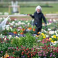 Creating a Wildlife-Resistant Garden: Strategies for Success