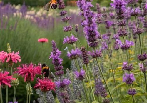 Attracting Pollinators to Your Garden: A Complete Guide for Garden and Landscaping Enthusiasts