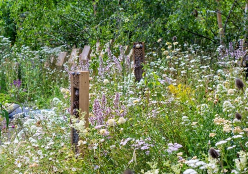 Creating a Wildlife-Friendly Garden: Tips for Sustainable Landscaping