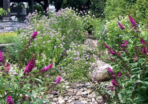 Incorporating Native Plants into Your Garden and Landscape Design