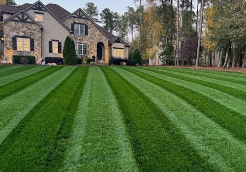 Essential Tips for Selecting the Perfect Grass for Your Lawn
