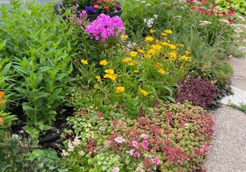 Vibrant Year-Round: Creative Ways to Infuse Colour into Your Garden