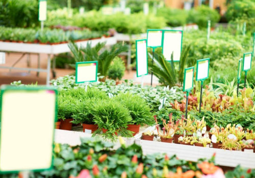 Essential Tips for Selecting the Right Plants for Your Climate and Soil Type
