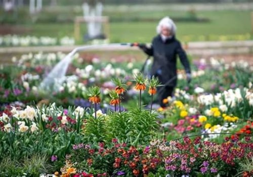 Creating a Wildlife-Resistant Garden: Strategies for Success